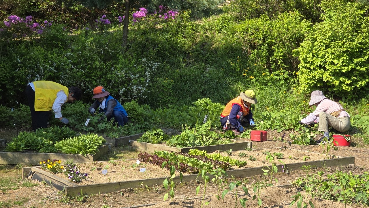 사용자가 올린 이미지
