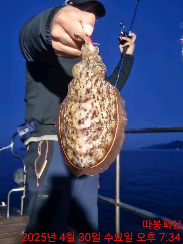 사용자가 올린 이미지