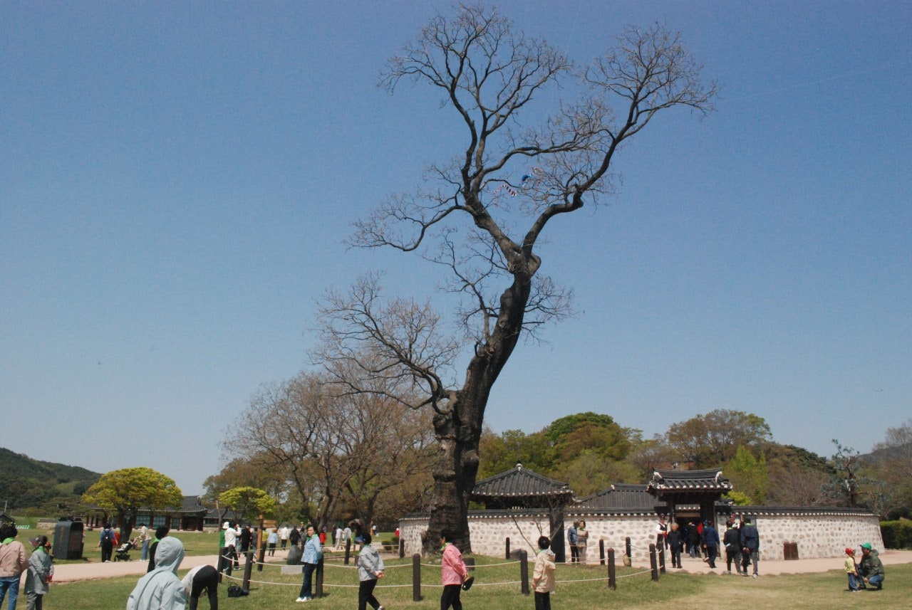 서산꽃게장 이미지
