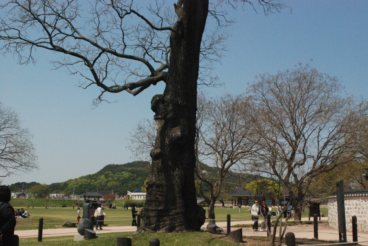 서산꽃게장 이미지