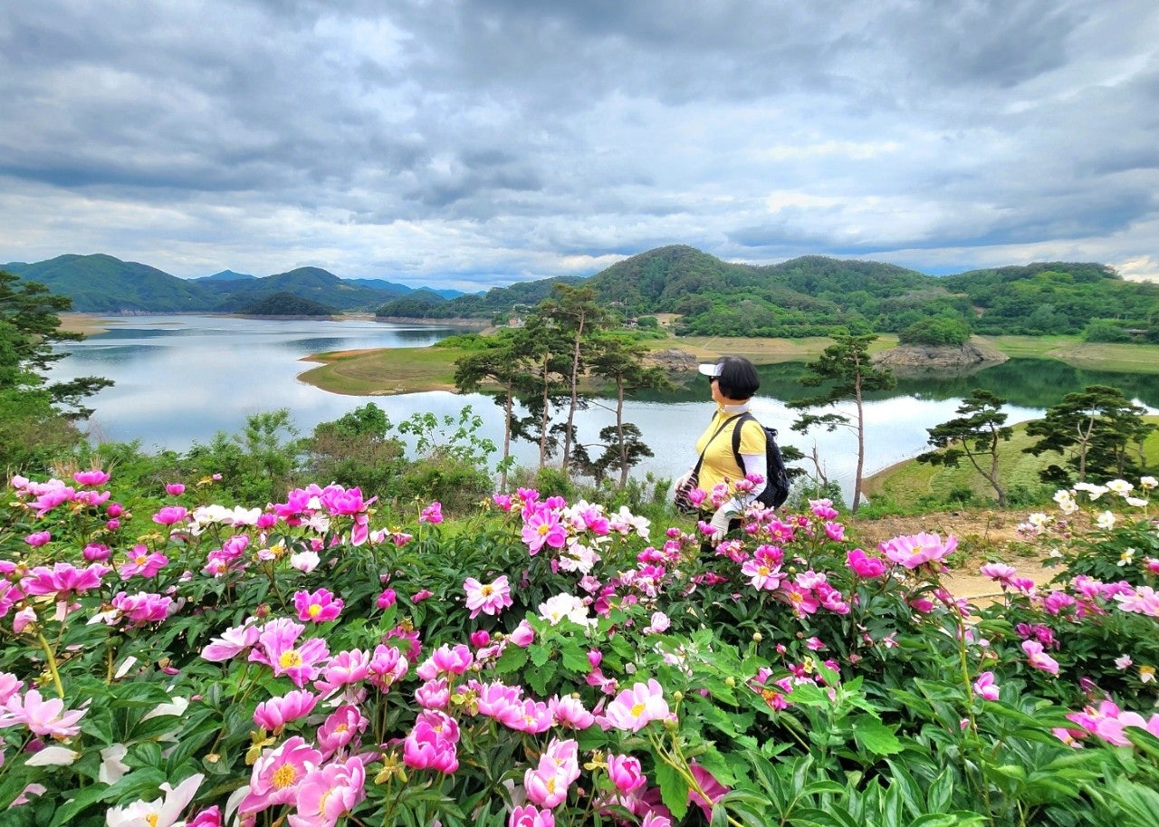 사용자가 올린 이미지