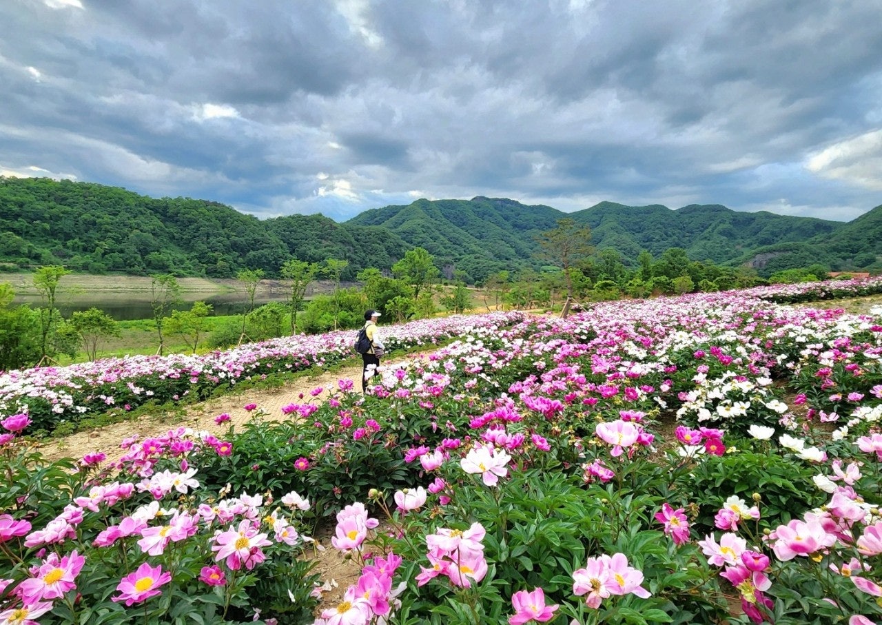 사용자가 올린 이미지