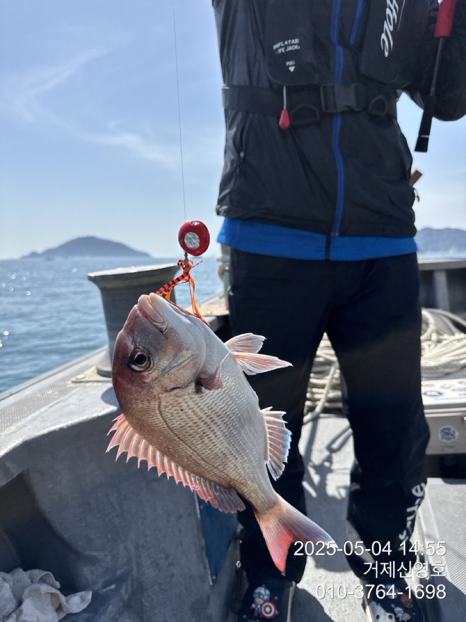 사용자가 올린 이미지