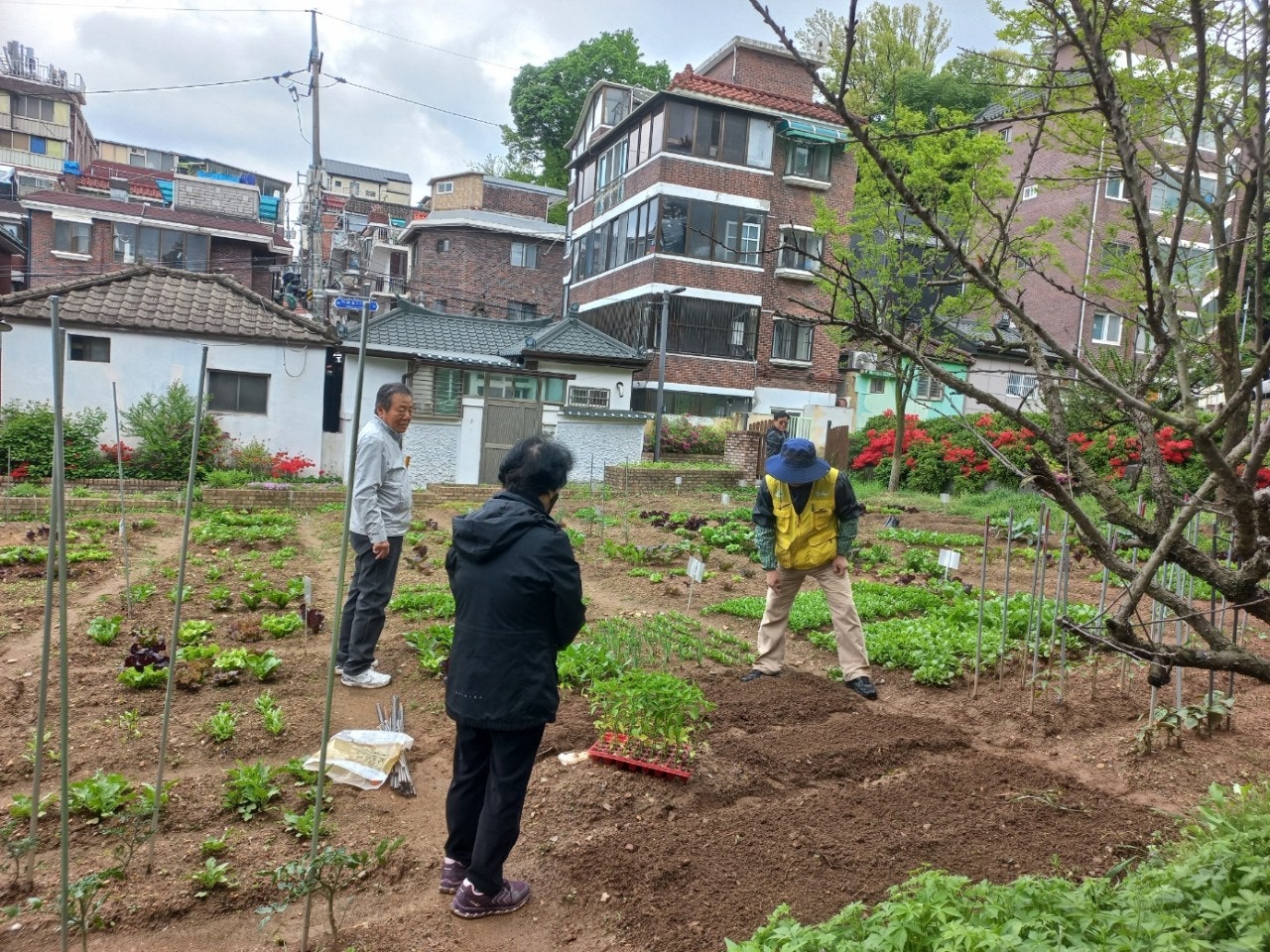 사용자가 올린 이미지