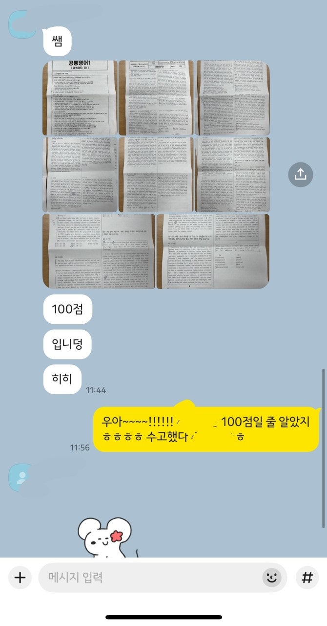 사용자가 올린 이미지