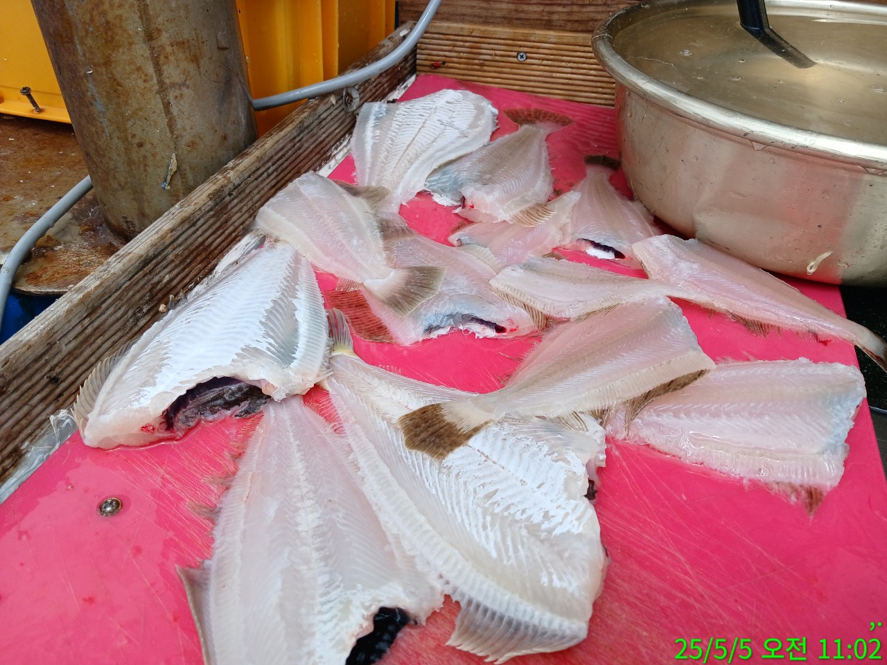 g_00bUd018svc1b6y63nnoypzq_9bt2m0.jpg