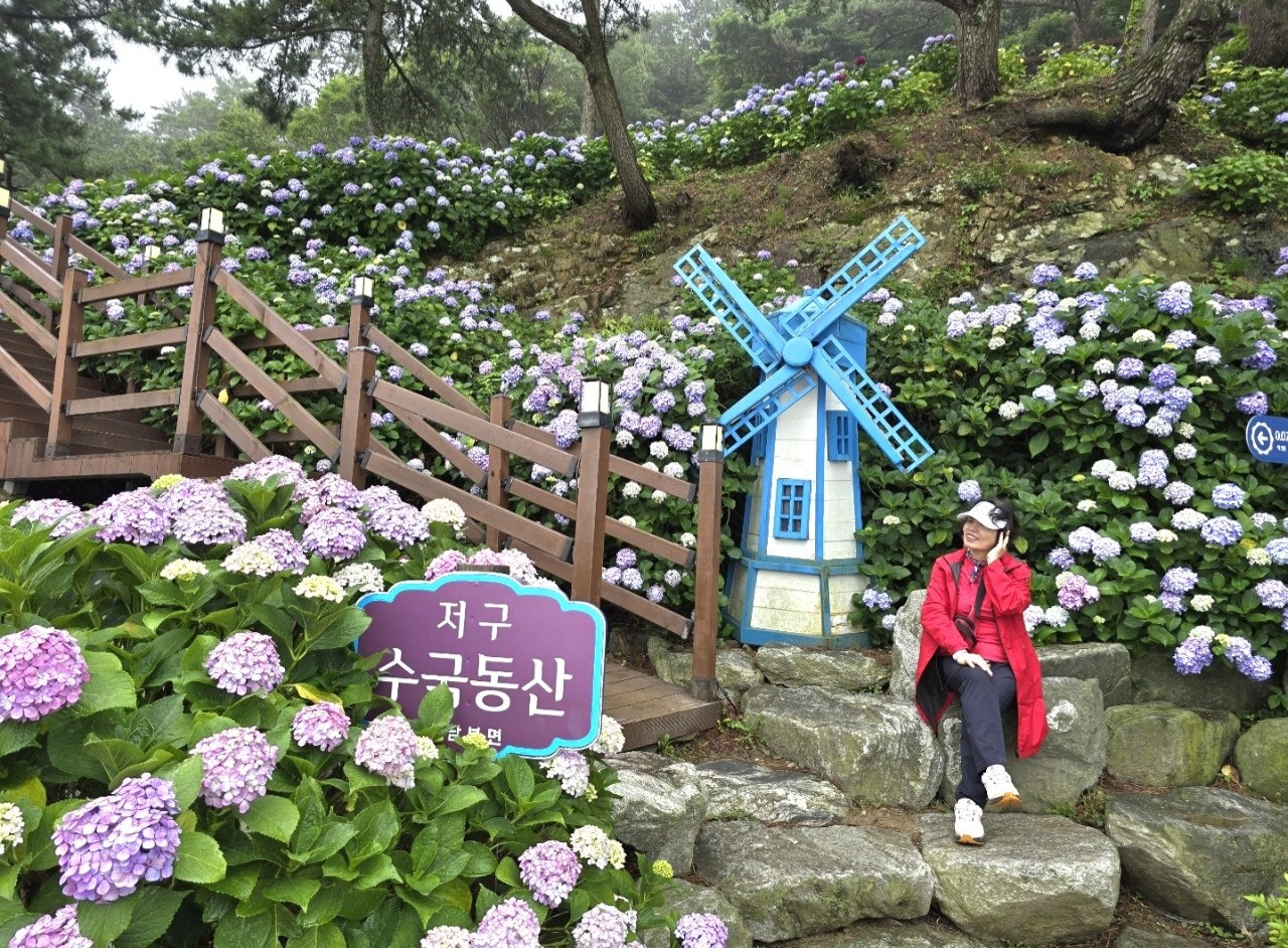 사용자가 올린 이미지