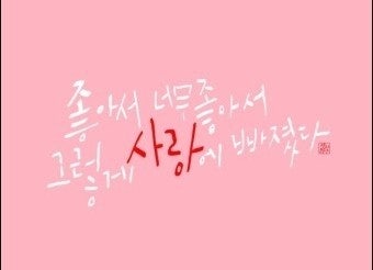 사용자가 올린 이미지