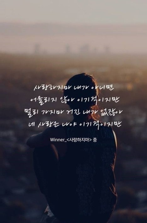 사용자가 올린 이미지