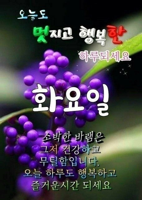 사용자가 올린 이미지