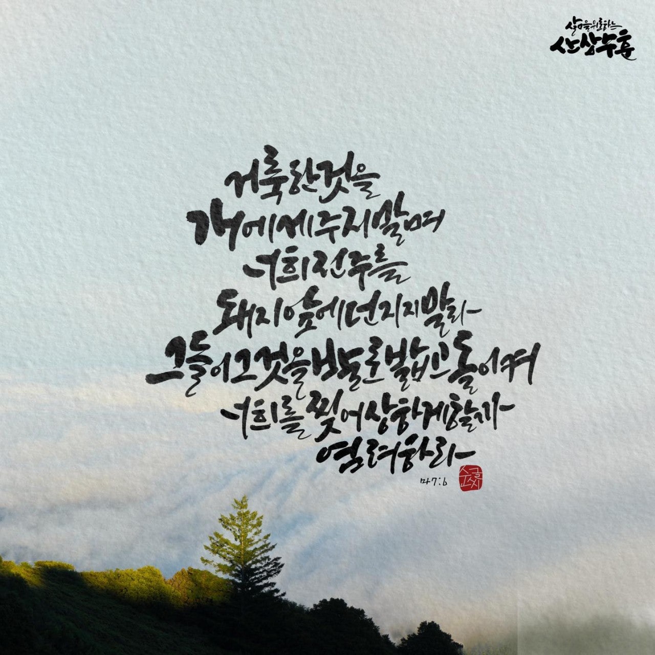 사용자가 올린 이미지