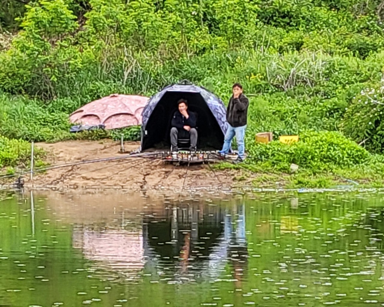 사용자가 올린 이미지
