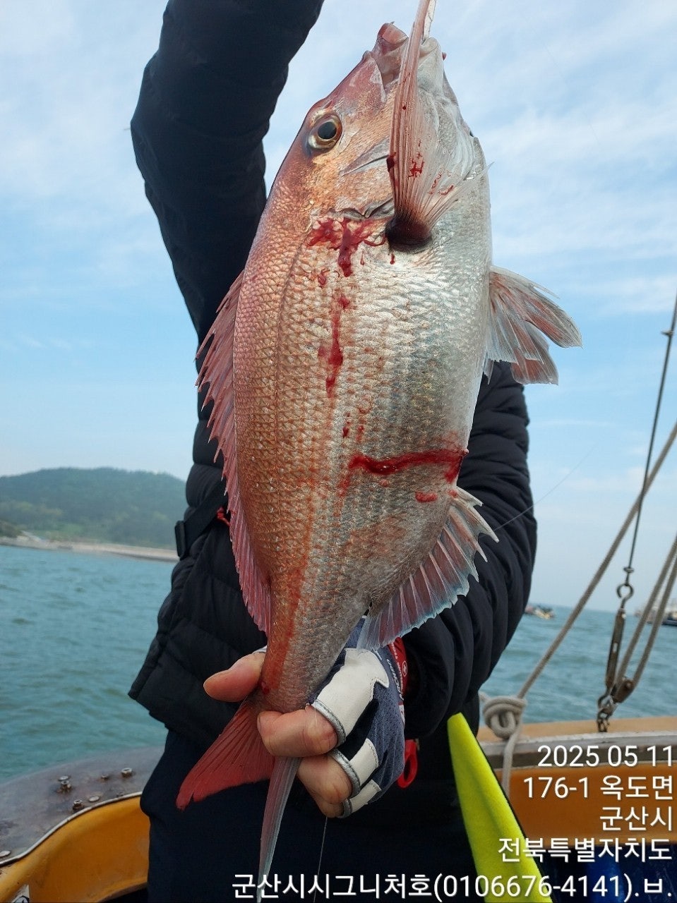 사용자가 올린 이미지