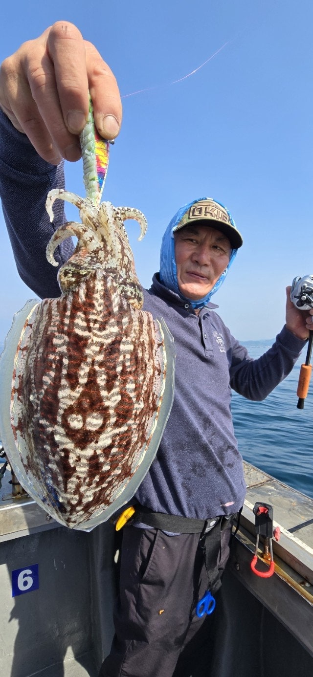 사용자가 올린 이미지