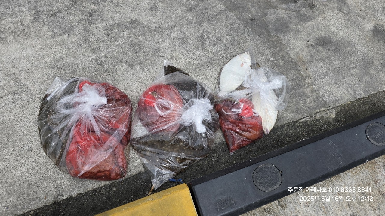 사용자가 올린 이미지