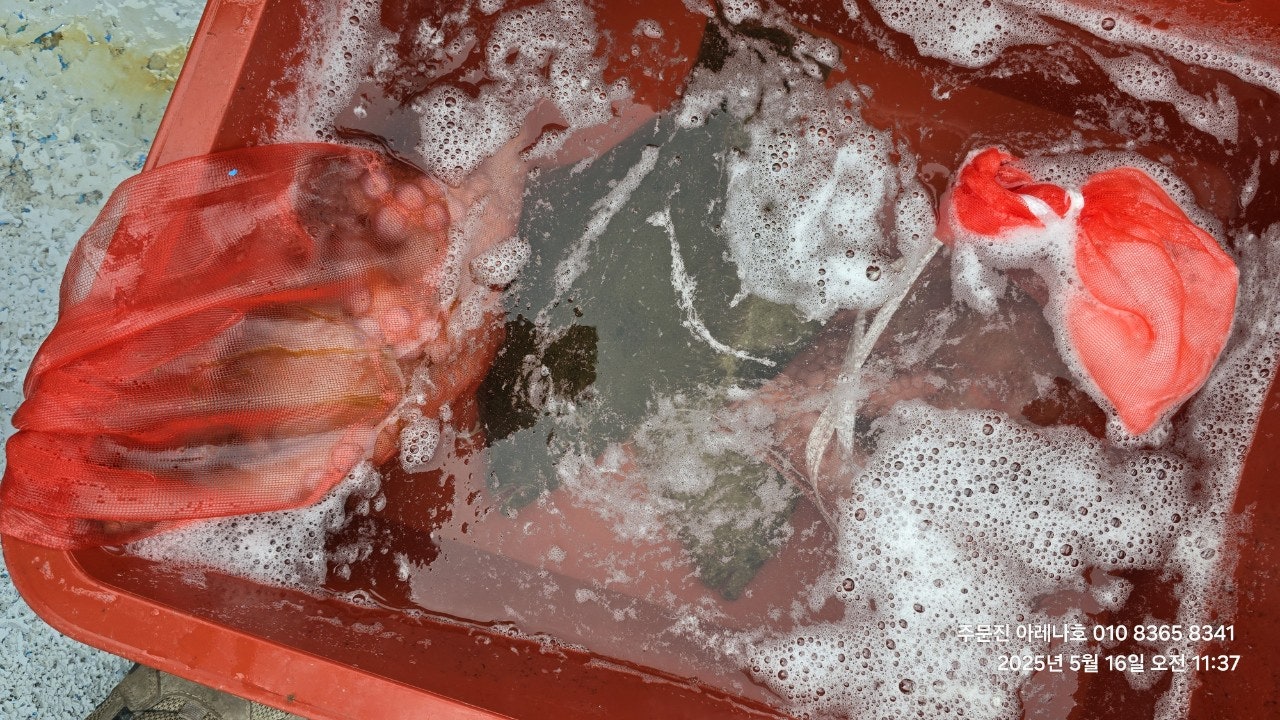 사용자가 올린 이미지