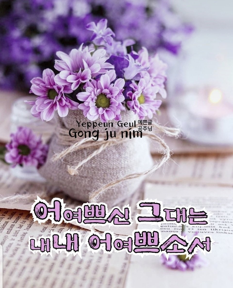 사용자가 올린 이미지