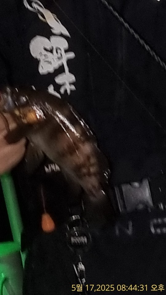 ڰ ø ̹