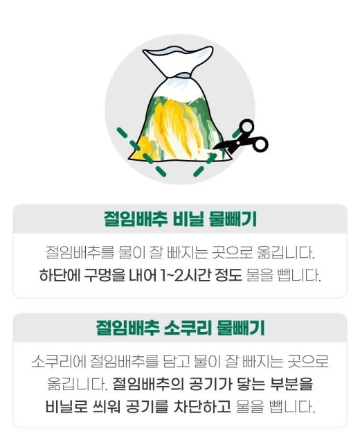 동영상