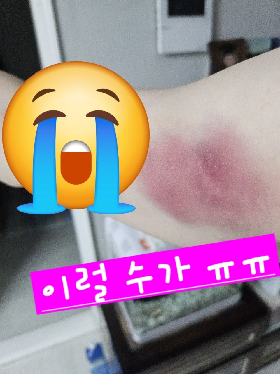 사용자가 올린 이미지