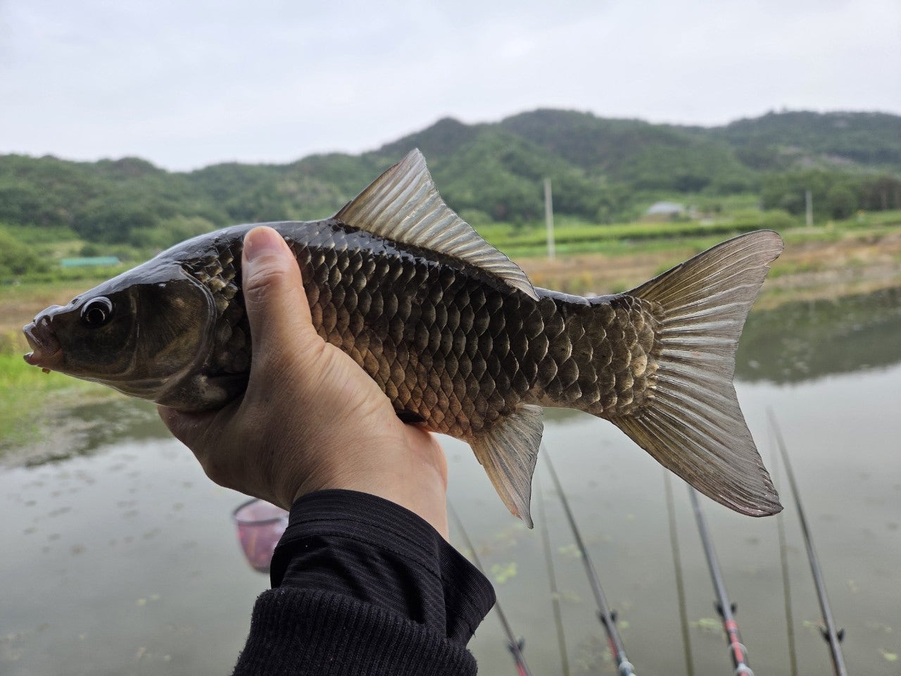 사용자가 올린 이미지