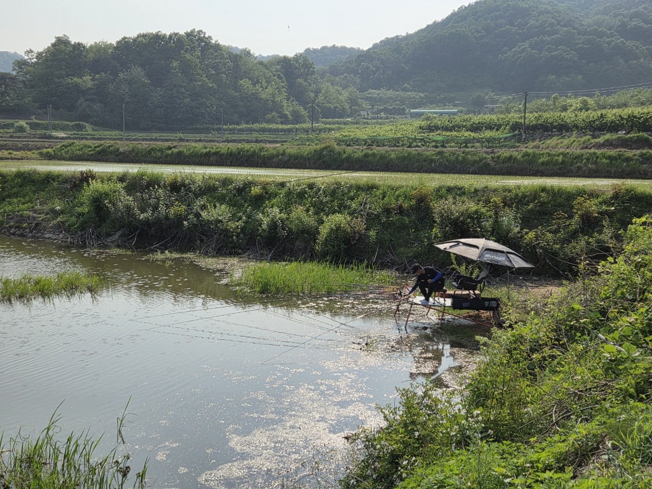 사용자가 올린 이미지