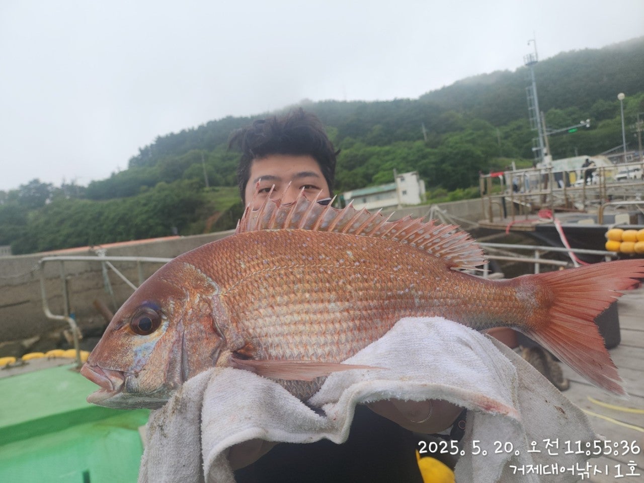 사용자가 올린 이미지