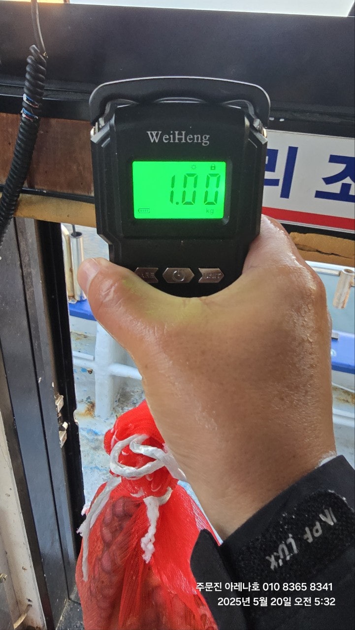 사용자가 올린 이미지