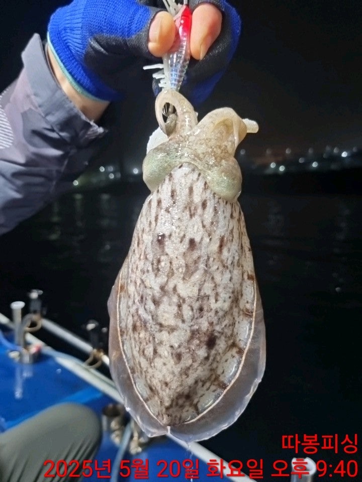 사용자가 올린 이미지