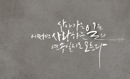 사용자가 올린 이미지