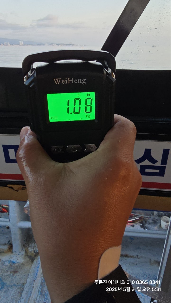 사용자가 올린 이미지