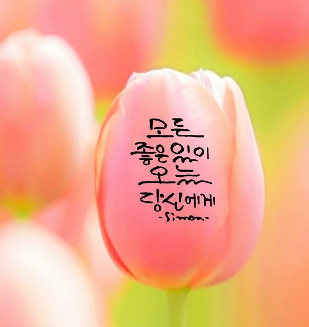 사용자가 올린 이미지