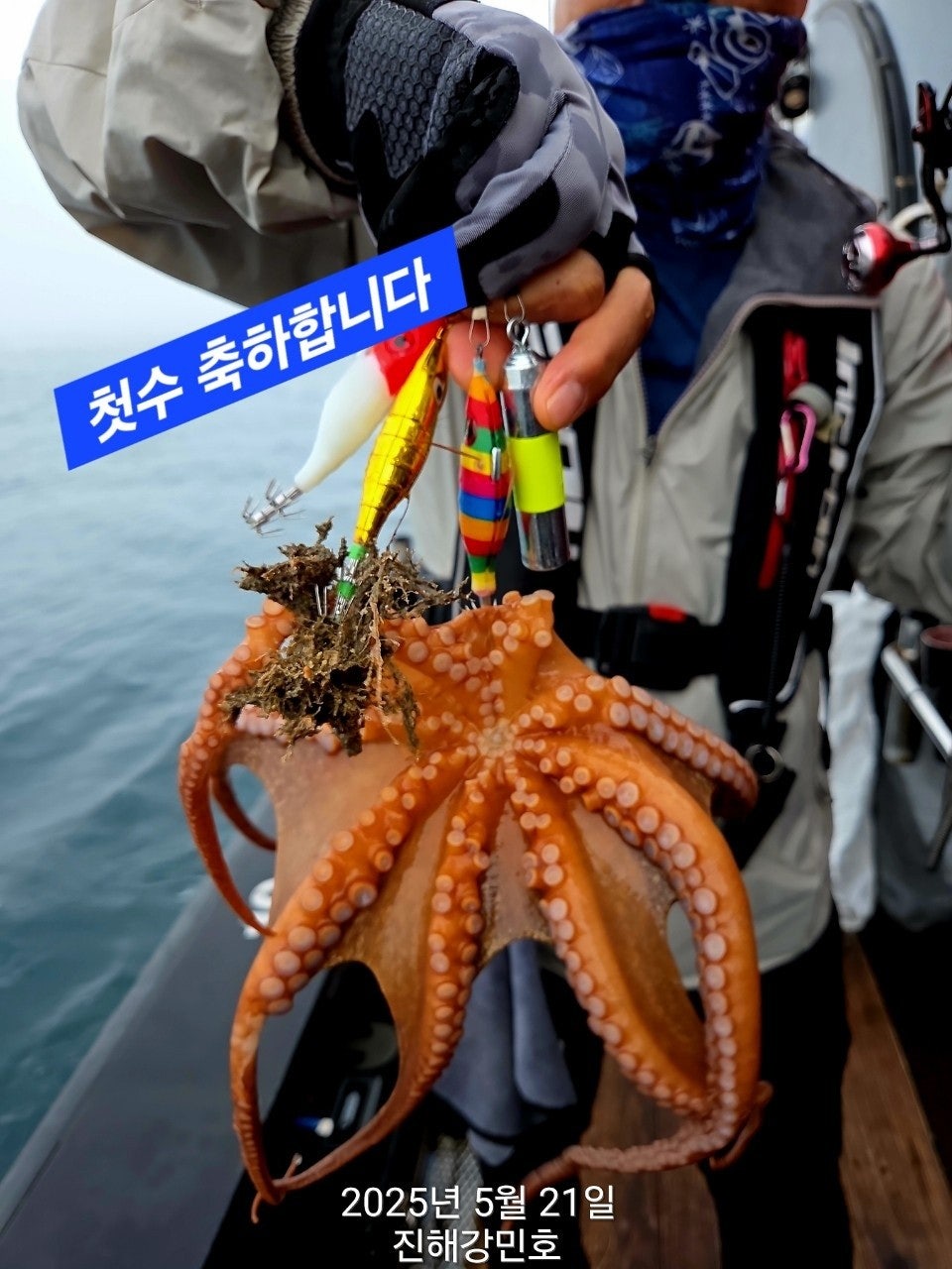 사용자가 올린 이미지