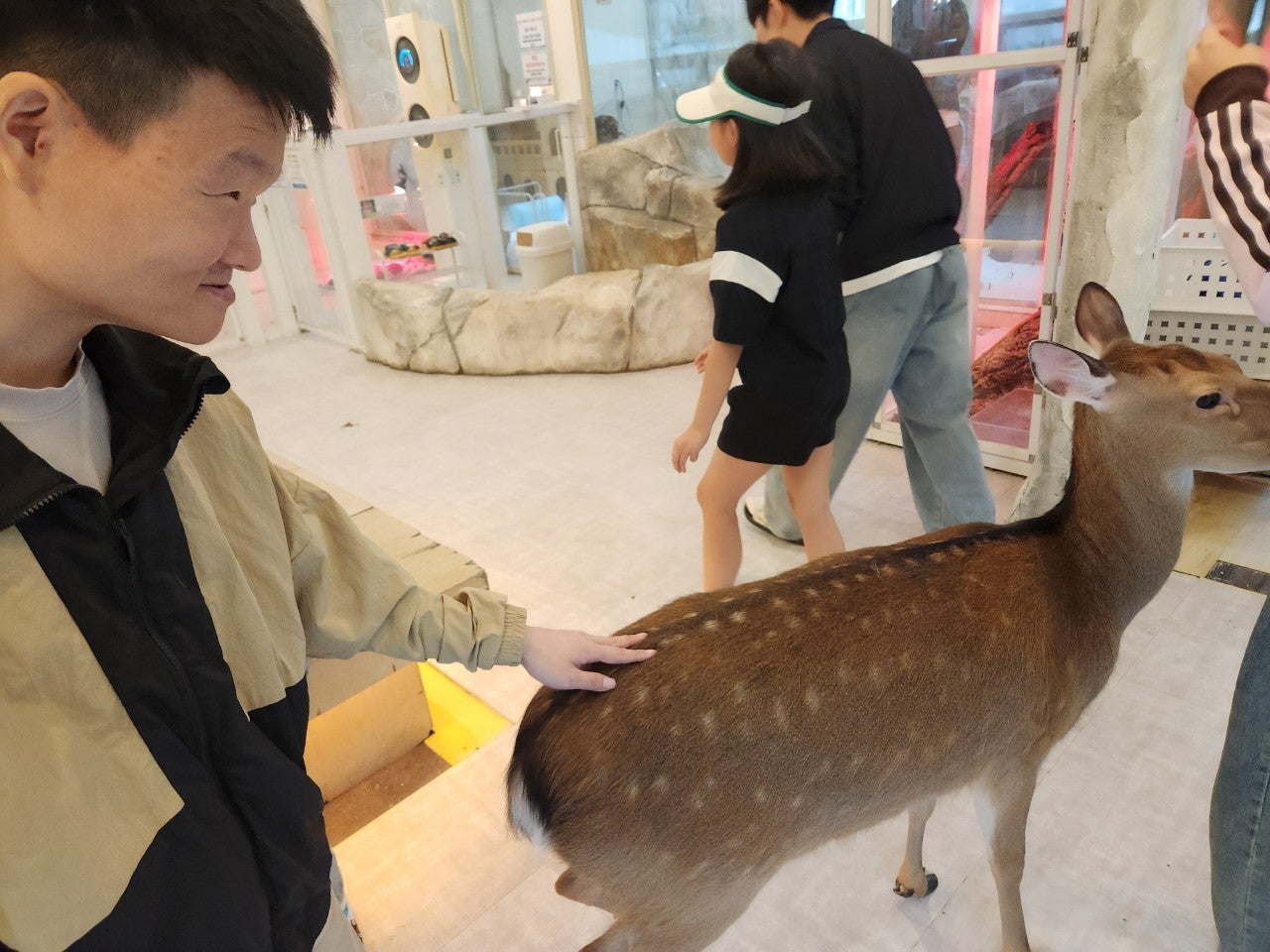 사용자가 올린 이미지