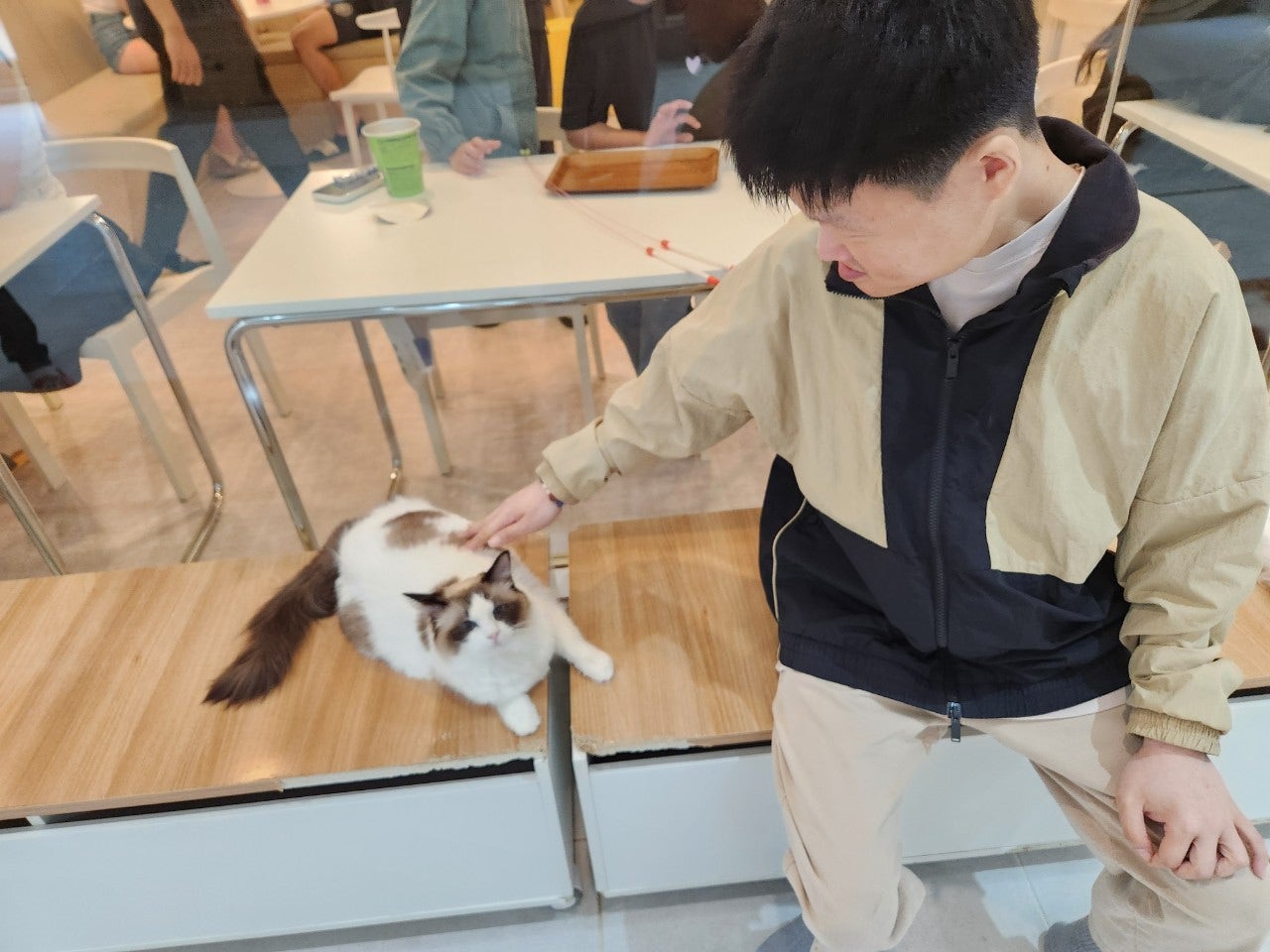 사용자가 올린 이미지