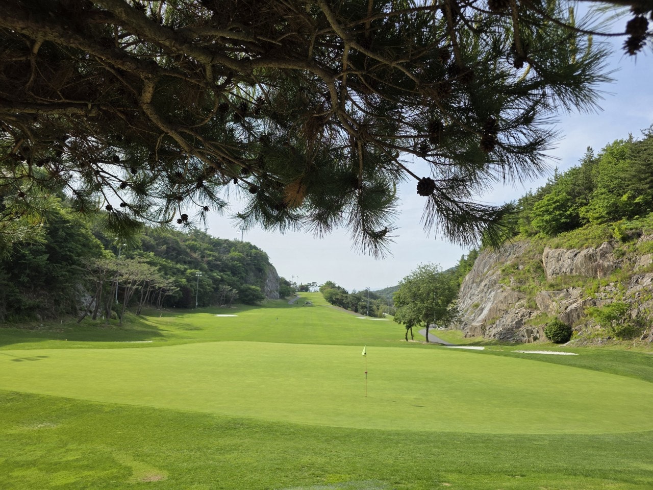 사용자가 올린 이미지