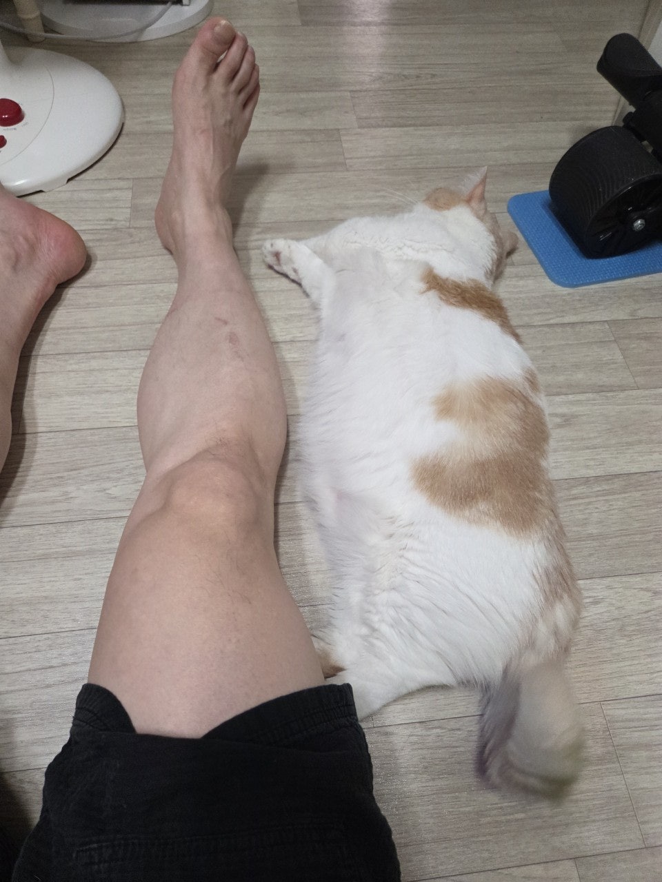 사용자가 올린 이미지