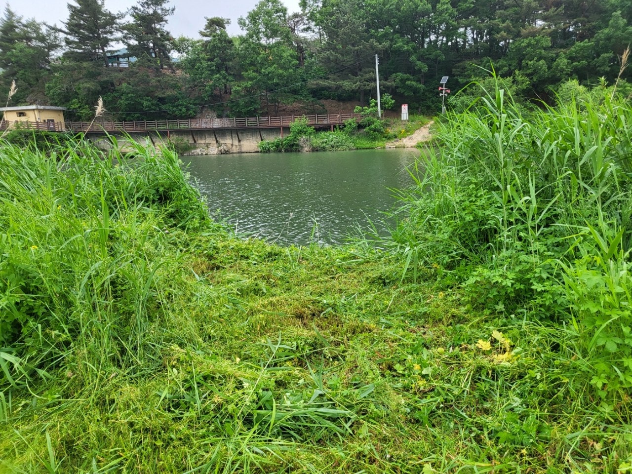 사용자가 올린 이미지