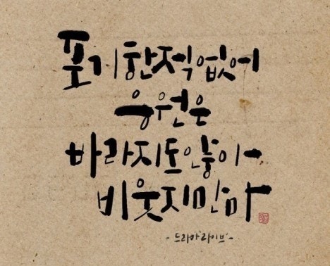 사용자가 올린 이미지