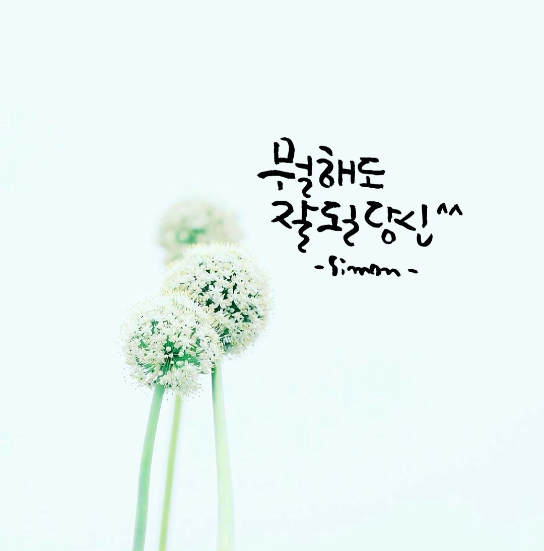 사용자가 올린 이미지