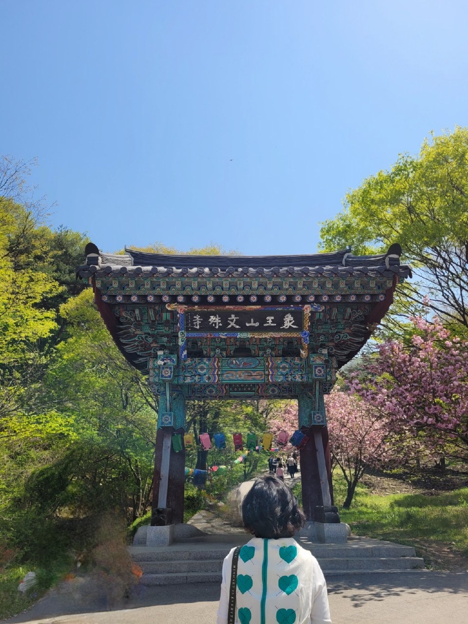 사용자가 올린 이미지