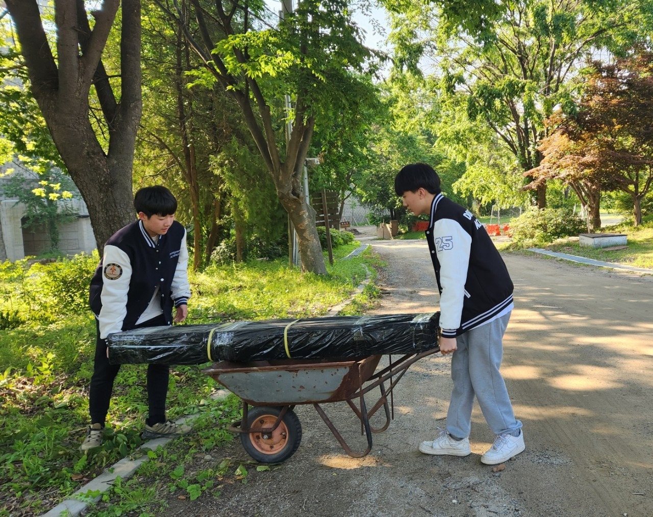 사용자가 올린 이미지