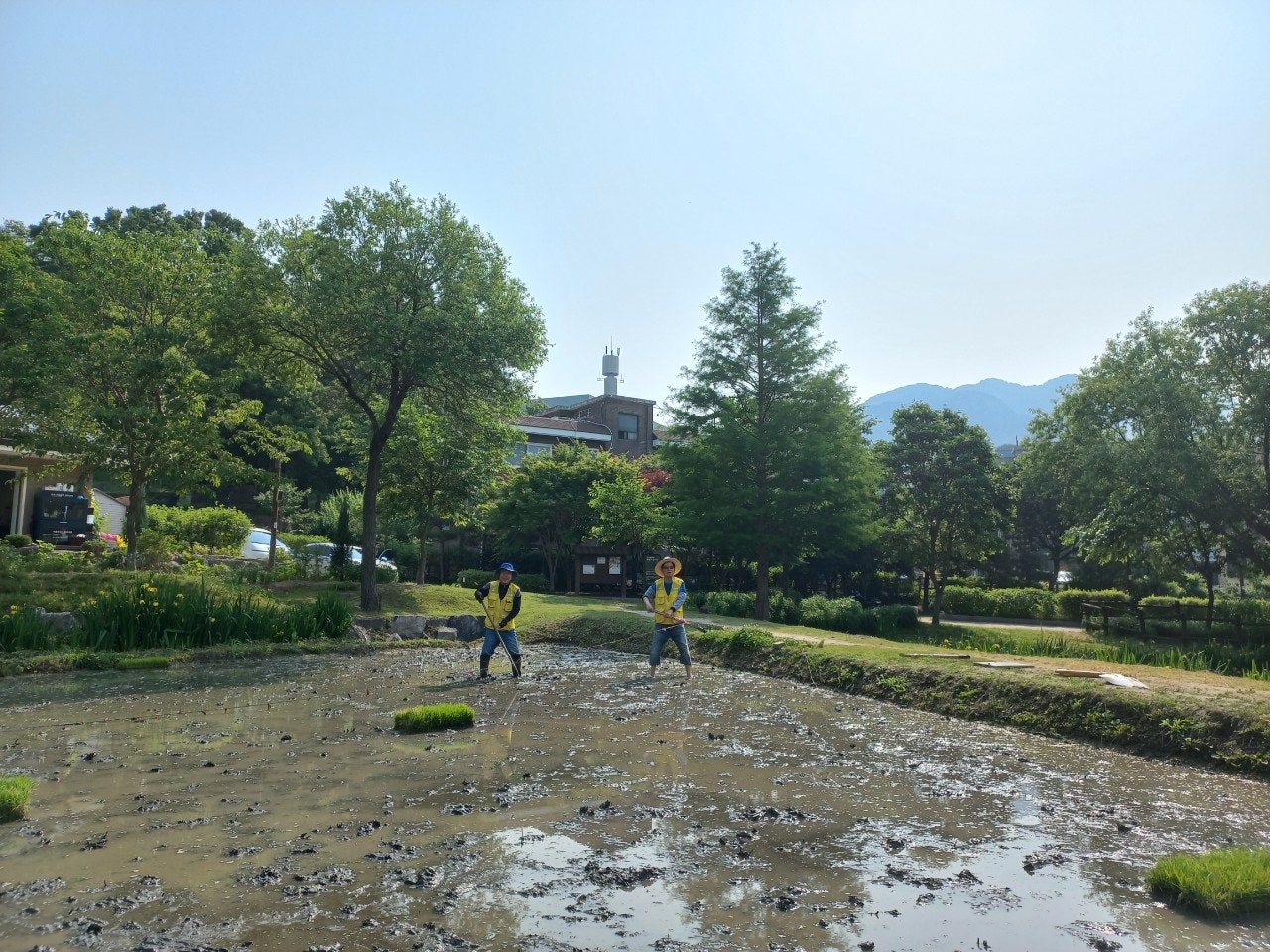 사용자가 올린 이미지