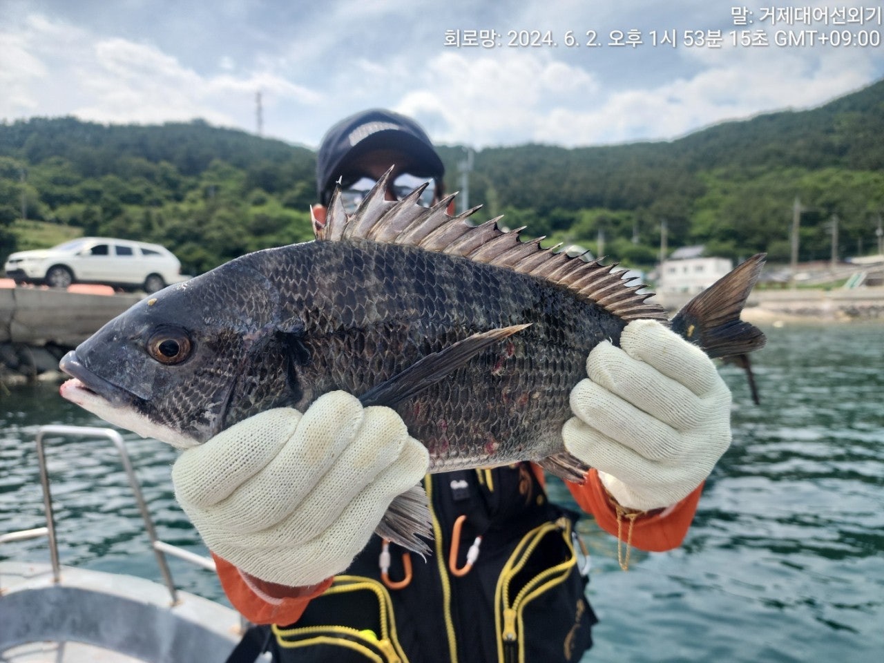 사용자가 올린 이미지