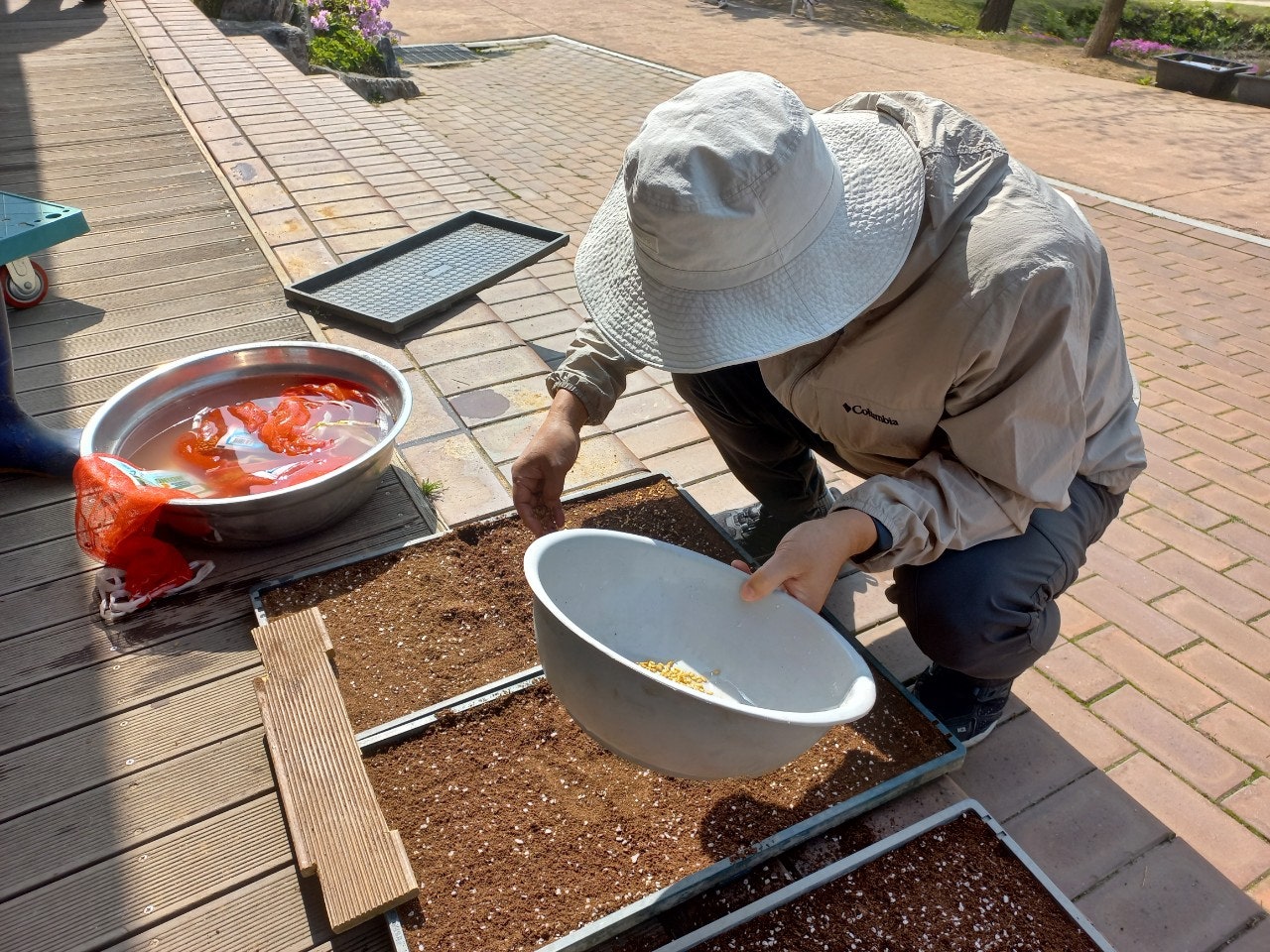 사용자가 올린 이미지