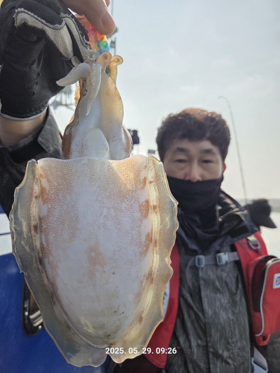 사용자가 올린 이미지