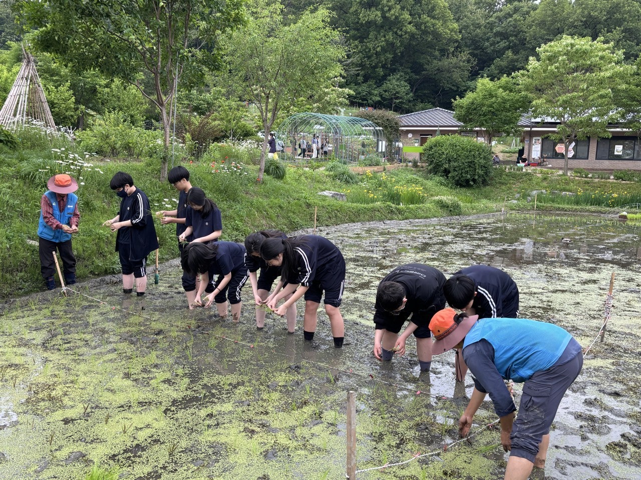 사용자가 올린 이미지