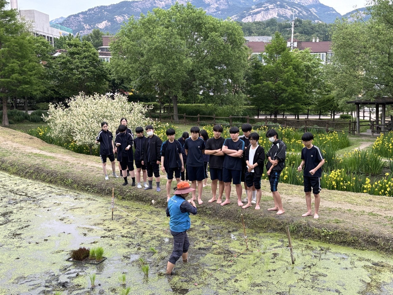사용자가 올린 이미지
