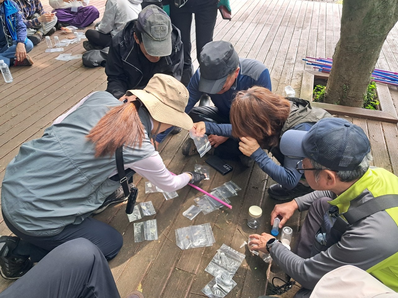 사용자가 올린 이미지