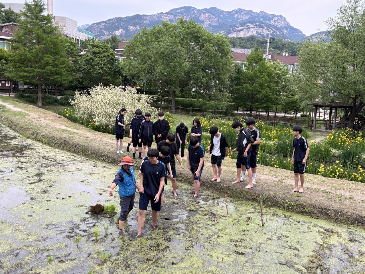 사용자가 올린 이미지